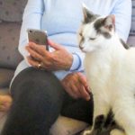 SueAndSmudge