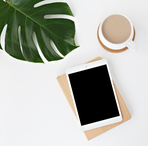 Free eBook report